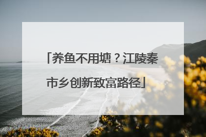 养鱼不用塘？江陵秦市乡创新致富路径
