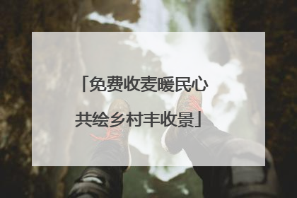 免费收麦暖民心 共绘乡村丰收景