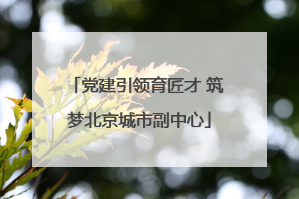 党建引领育匠才 筑梦北京城市副中心