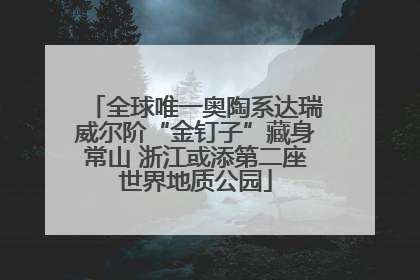 全球唯一奥陶系达瑞威尔阶“金钉子”藏身常山 浙江或添第二座世界地质公园