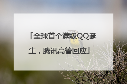 全球首个满级QQ诞生，腾讯高管回应