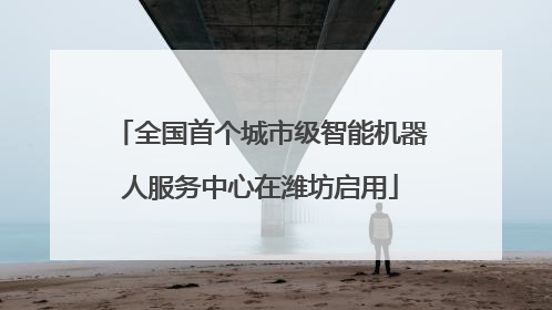 全国首个城市级智能机器人服务中心在潍坊启用