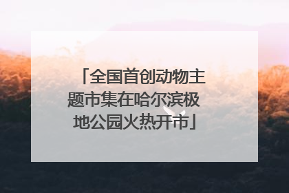 全国首创动物主题市集在哈尔滨极地公园火热开市