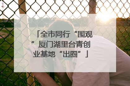 全市同行“围观”厦门湖里台青创业基地“出圈”