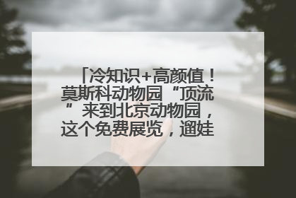 冷知识+高颜值！莫斯科动物园“顶流”来到北京动物园，这个免费展览，遛娃拍照两不误！