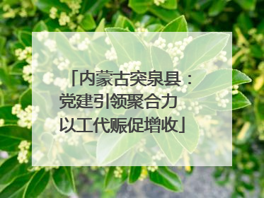 内蒙古突泉县：党建引领聚合力 以工代赈促增收