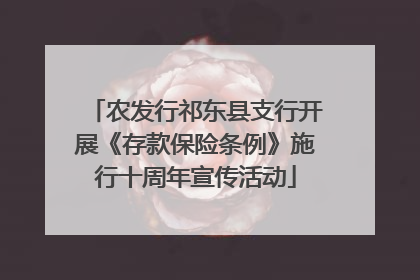 农发行祁东县支行开展《存款保险条例》施行十周年宣传活动