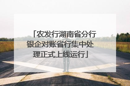 农发行湖南省分行银企对账省行集中处理正式上线运行