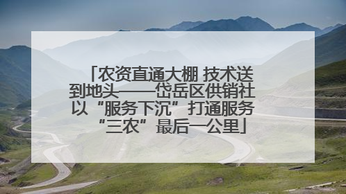 农资直通大棚 技术送到地头——岱岳区供销社以“服务下沉”打通服务“三农”最后一公里