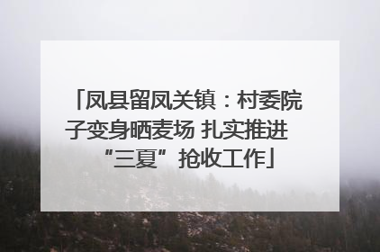 凤县留凤关镇：村委院子变身晒麦场 扎实推进“三夏”抢收工作