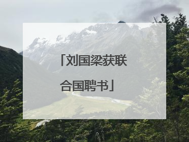 刘国梁获联合国聘书
