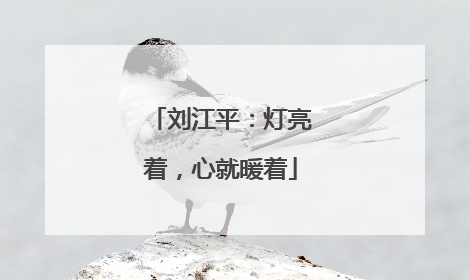 刘江平：灯亮着，心就暖着