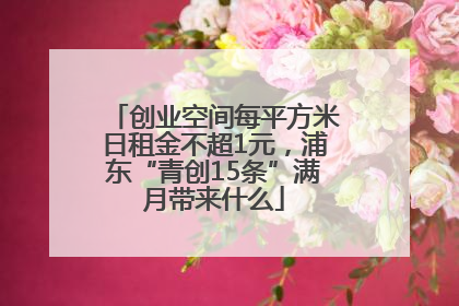 创业空间每平方米日租金不超1元，浦东“青创15条”满月带来什么