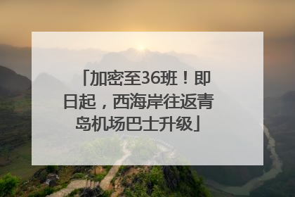 加密至36班！即日起，西海岸往返青岛机场巴士升级