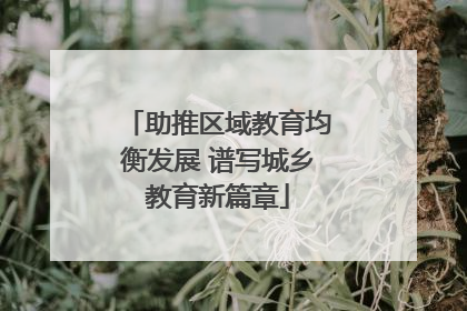 助推区域教育均衡发展 谱写城乡教育新篇章