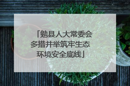 勉县人大常委会多措并举筑牢生态环境安全底线