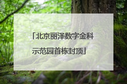 北京丽泽数字金科示范园首栋封顶