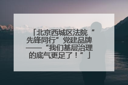 北京西城区法院“先锋同行”党建品牌——“我们基层治理的底气更足了！”