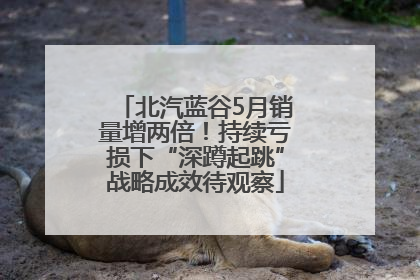 北汽蓝谷5月销量增两倍！持续亏损下“深蹲起跳”战略成效待观察