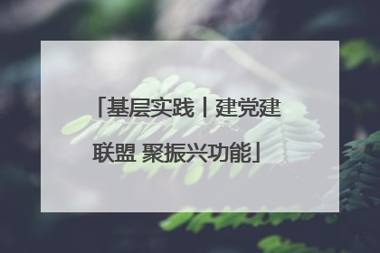 基层实践丨建党建联盟 聚振兴功能