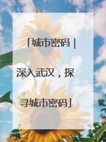 城市密码｜深入武汉，探寻城市密码