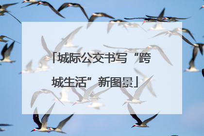 城际公交书写“跨城生活”新图景