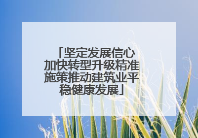 坚定发展信心 加快转型升级精准施策推动建筑业平稳健康发展