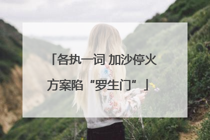 各执一词 加沙停火方案陷“罗生门”