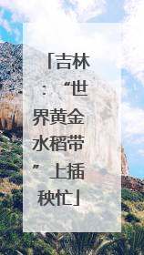 吉林：“世界黄金水稻带”上插秧忙