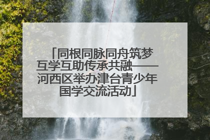 同根同脉同舟筑梦 互学互助传承共融——河西区举办津台青少年国学交流活动