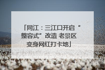 同江：三江口开启“整容式”改造 老景区变身网红打卡地