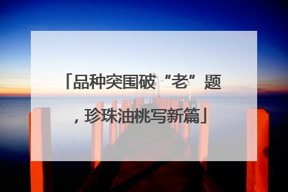 品种突围破“老”题，珍珠油桃写新篇