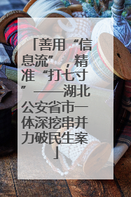 善用“信息流”，精准“打七寸”——湖北公安省市一体深挖串并力破民生案