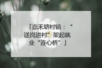嘉禾塘村镇：“送岗进村”架起就业“连心桥”