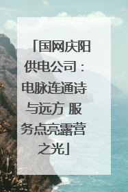国网庆阳供电公司：电脉连通诗与远方 服务点亮露营之光