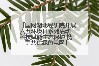国网湖北经研院开展六五环境日系列活动 科技赋能生态保护 携手共建绿色电网