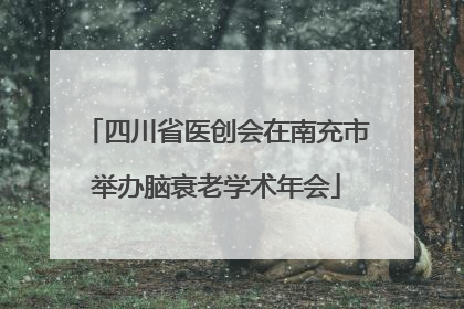 四川省医创会在南充市举办脑衰老学术年会