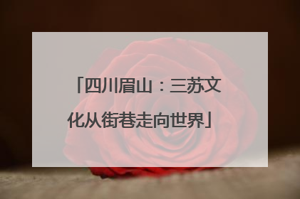 四川眉山：三苏文化从街巷走向世界