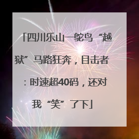 四川乐山一鸵鸟“越狱”马路狂奔，目击者：时速超40码，还对我“笑”了下