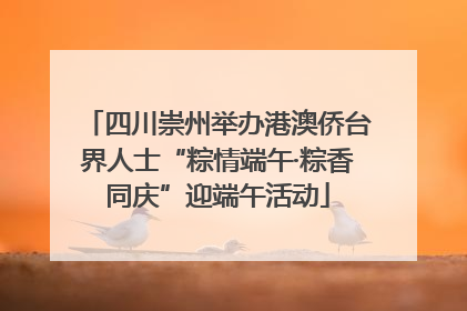 四川崇州举办港澳侨台界人士“粽情端午·粽香同庆”迎端午活动