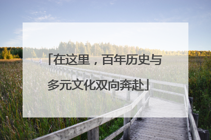 在这里，百年历史与多元文化双向奔赴