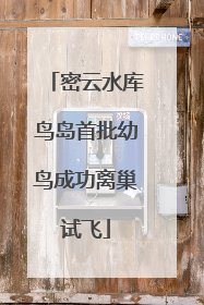 密云水库鸟岛首批幼鸟成功离巢试飞