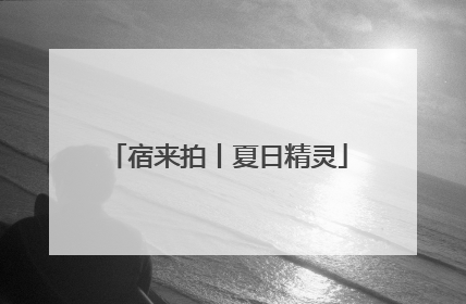 宿来拍丨夏日精灵