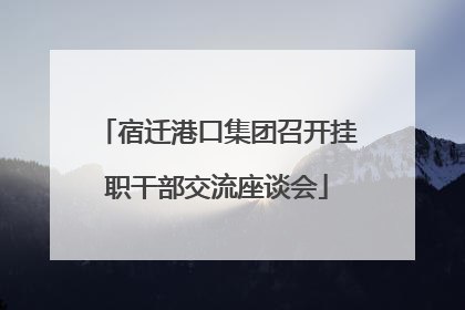 宿迁港口集团召开挂职干部交流座谈会