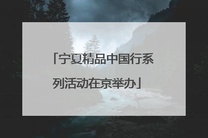 宁夏精品中国行系列活动在京举办