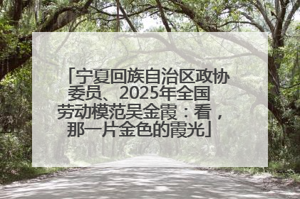 宁夏回族自治区政协委员、2025年全国劳动模范吴金霞：看，那一片金色的霞光