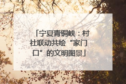 宁夏青铜峡：村社联动共绘“家门口”的文明图景