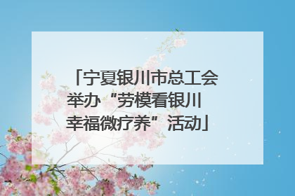 宁夏银川市总工会举办“劳模看银川 幸福微疗养”活动