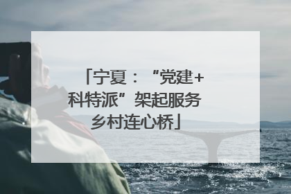 宁夏：“党建+科特派”架起服务乡村连心桥