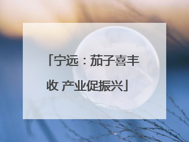 宁远：茄子喜丰收 产业促振兴